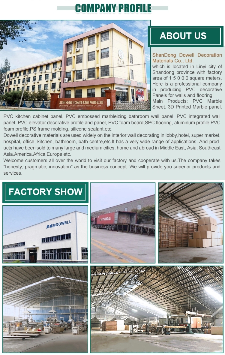 PVC Wall Panel(图5)